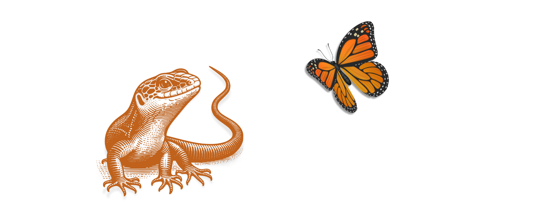 Monarchfalter und Salamander.