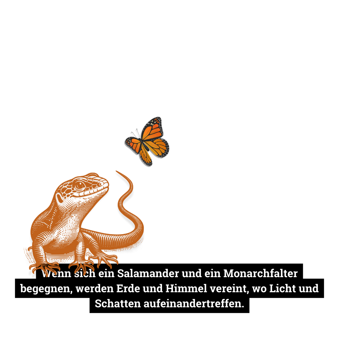 Wenn sich ein Salamander und ein Monarchfalter begegnen, werden Erde und Himmel vereint, wo Licht und Schatten aufeinandertreffen.