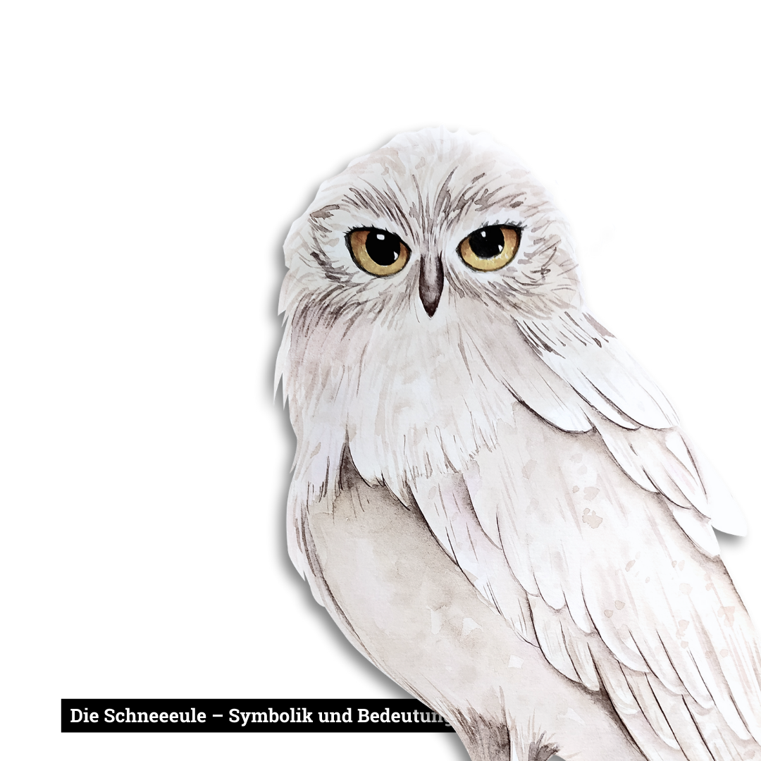 Symbolik und Bedeutung der Schneeeule.