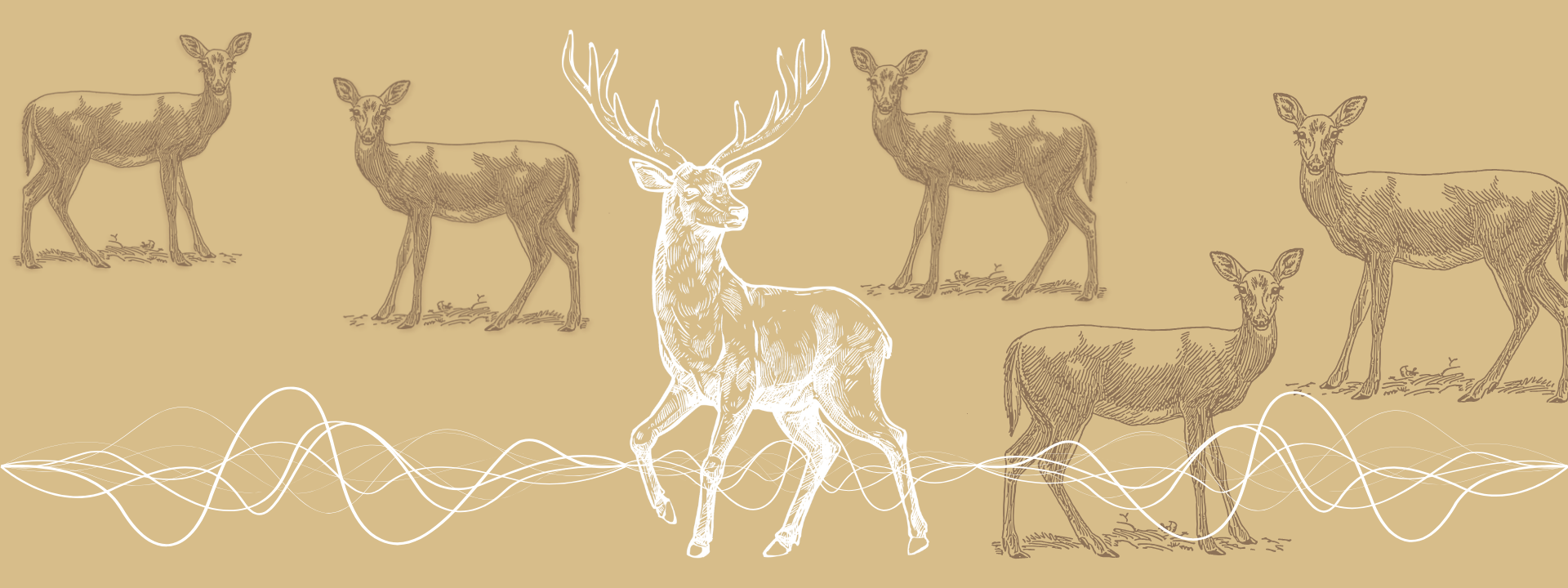 Conversations with Odd. Folge 02 - an der schwelle.