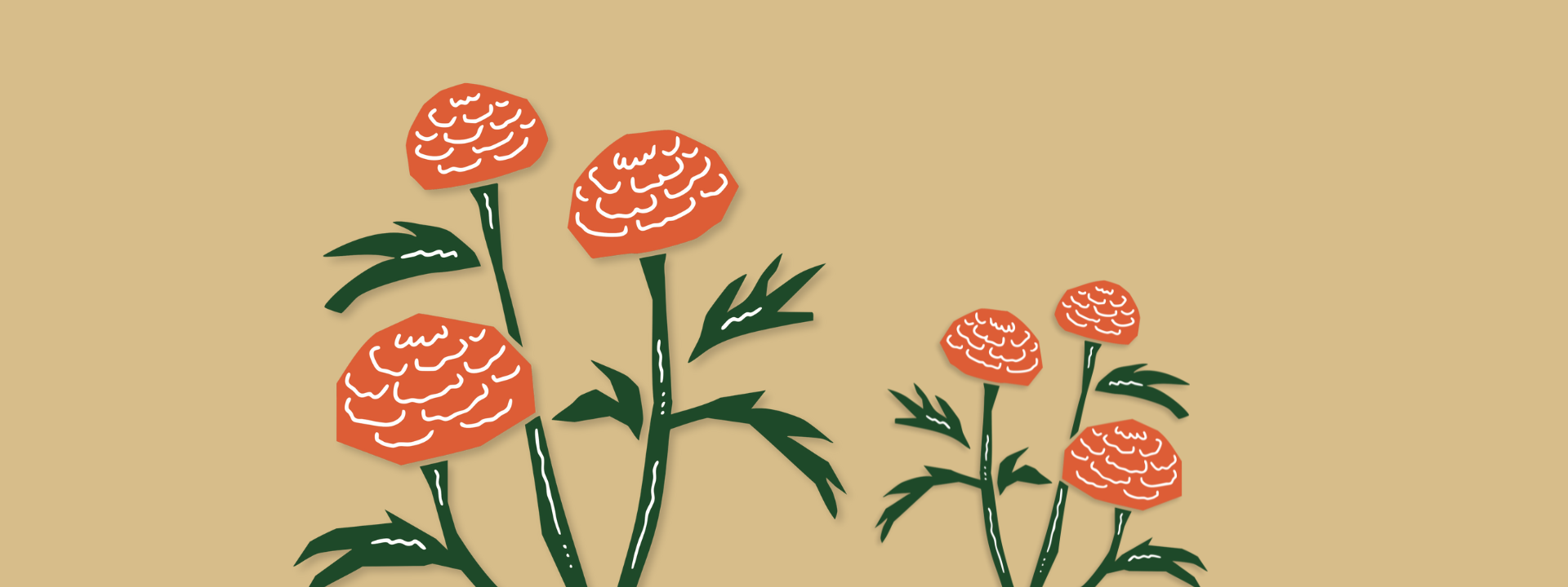 Altes Wissen in westlichem Kontext.