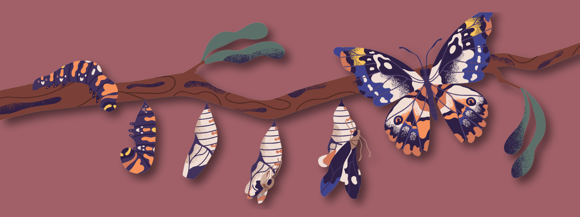 Rituale im Weiblichen Zyklus.