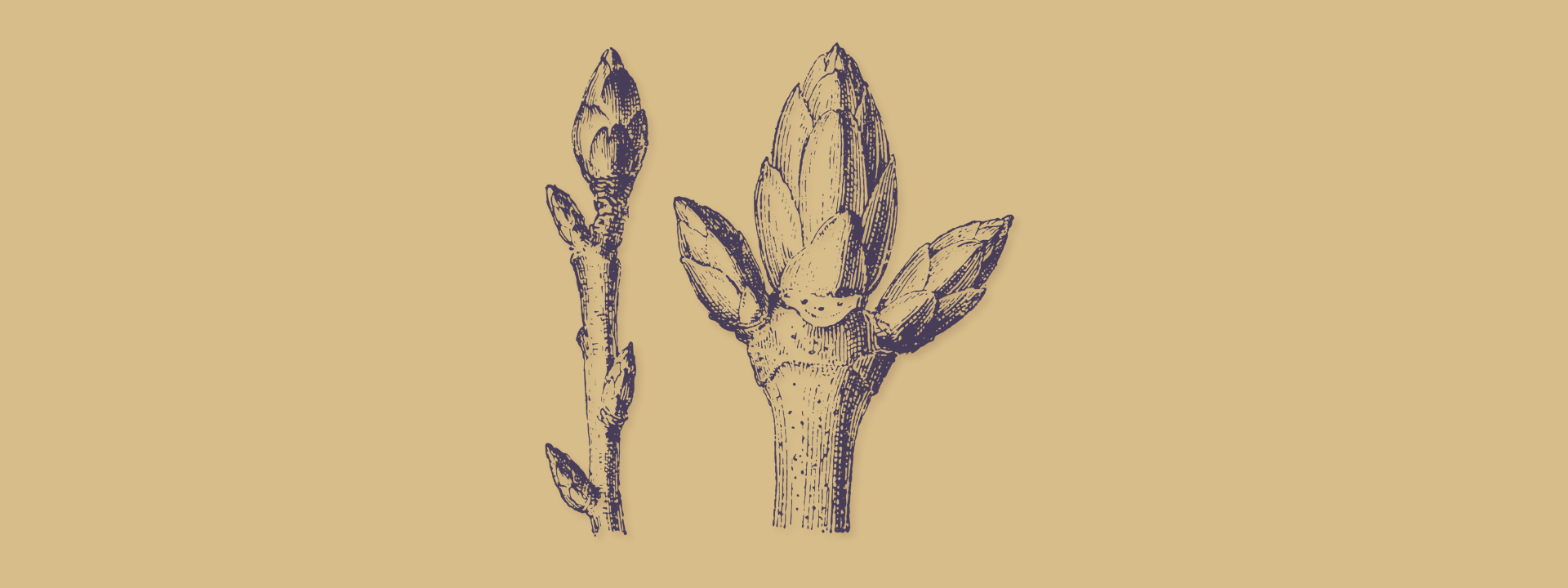 Das Unbekannte empfangen.