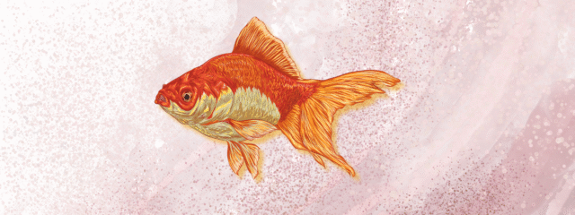 Hingabe an das Leben.