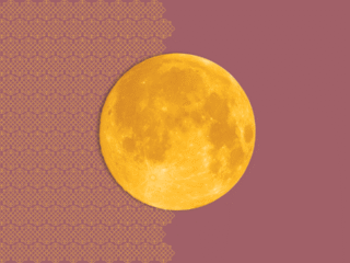 Das Schweigen des Vertrauens.