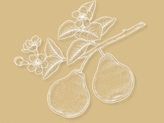 Gestaltungsmacht trifft innere Essenz.