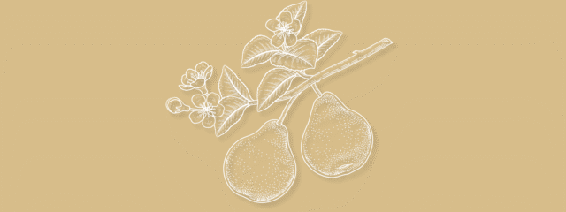 Gestaltungsmacht trifft innere Essenz.