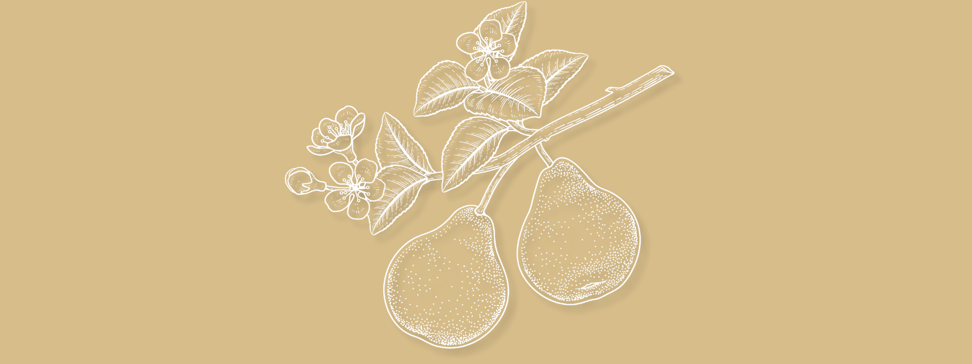 Gestaltungsmacht trifft innere Essenz.