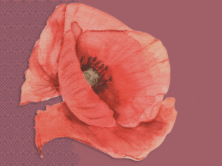 Vom Denken zum Frieden.