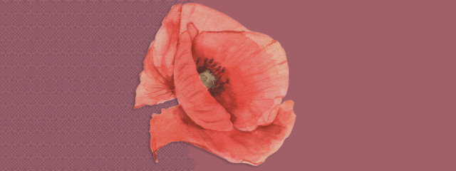 Vom Denken zum Frieden.