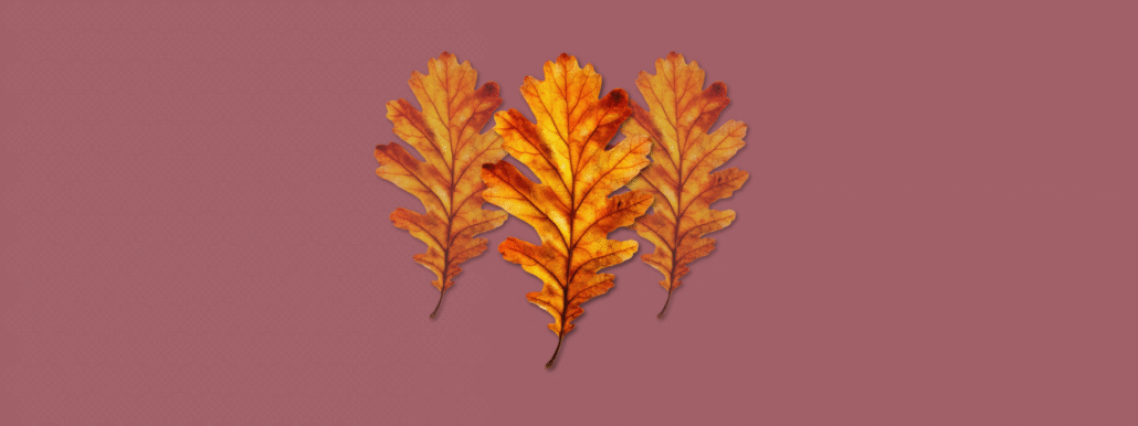 Zustand unbegrenzter Möglichkeiten.