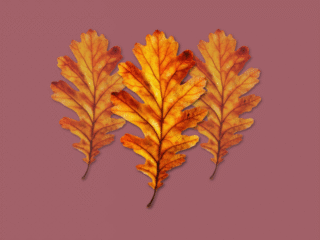 Zustand unbegrenzter Möglichkeiten.