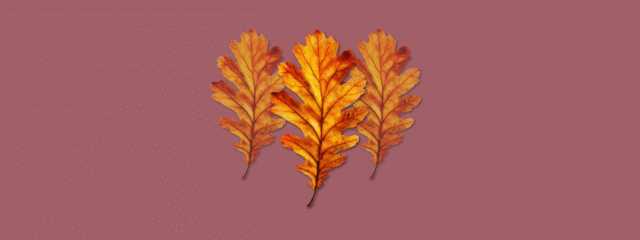 Zustand unbegrenzter Möglichkeiten.