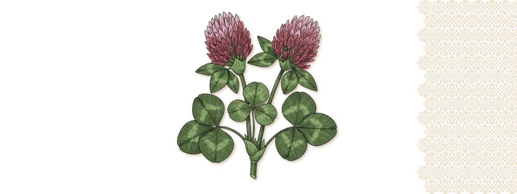 Die vierte Qualität.