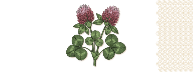 Die vierte Qualität.