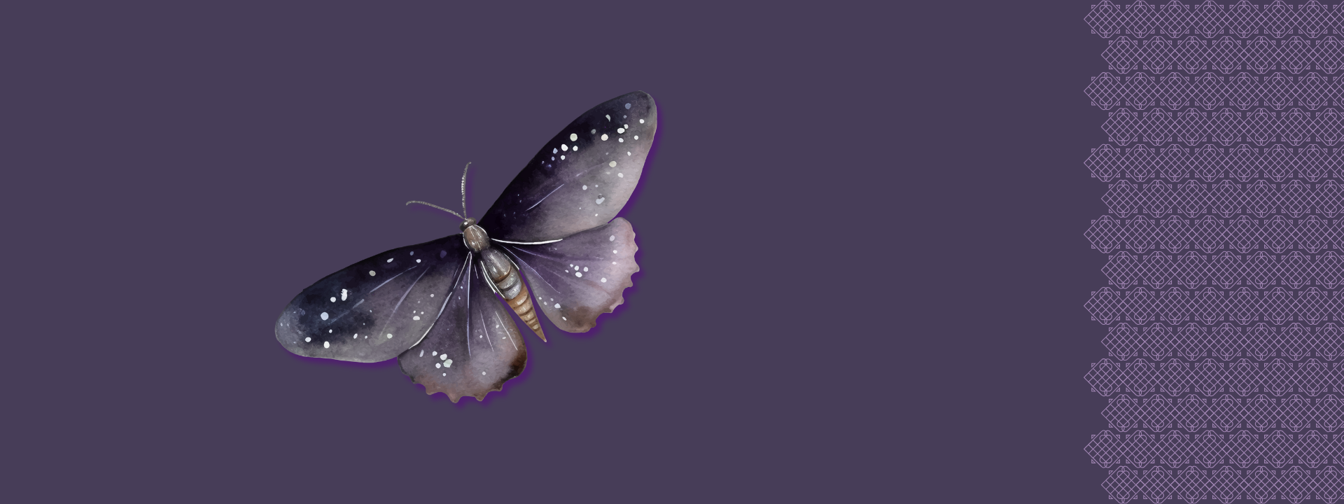 Ein kleiner Neubeginn.