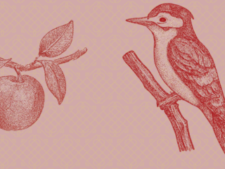 Integration und Verkörperung.