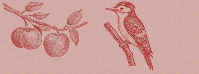 Integration und Verkörperung.