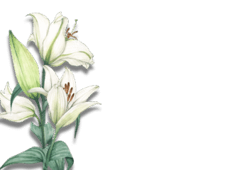 Die Schwellenzeit ist vorüber.