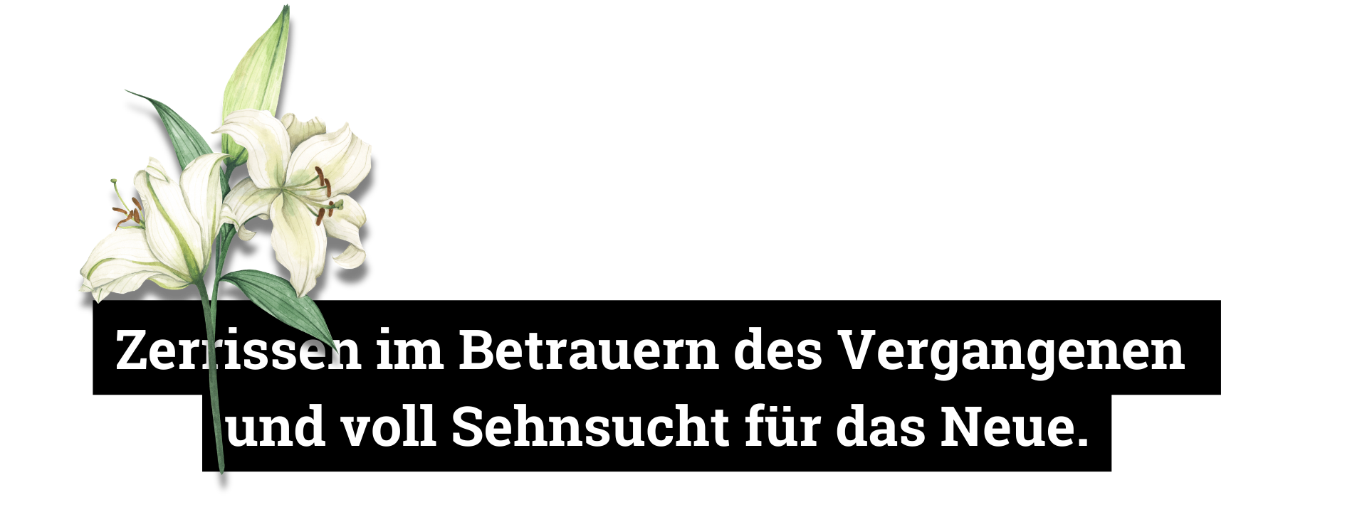Voll Sehnsucht für das Neue.