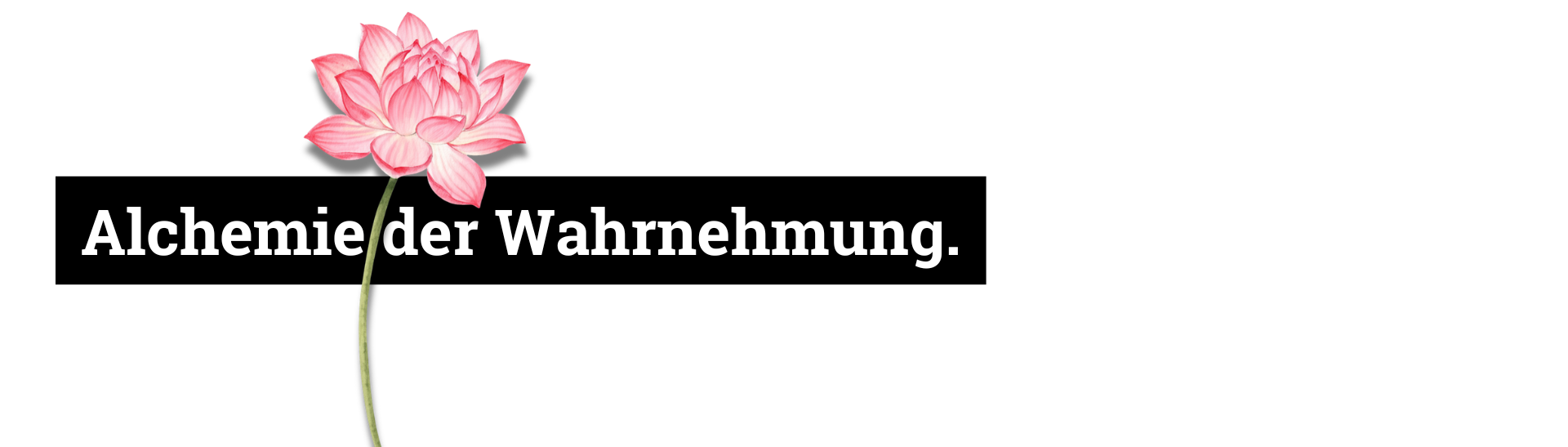 Alchemie der Wahrnehmung.