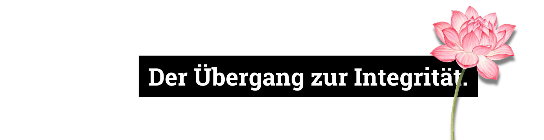 Der Übergang zur Integrität.