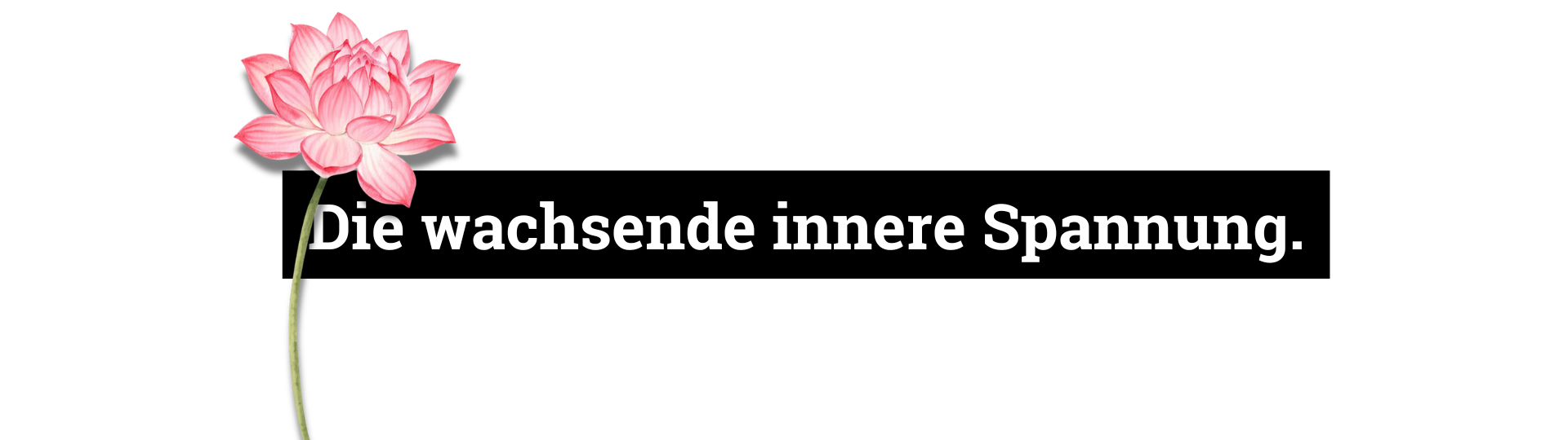 Die wachsende innere Spannung.