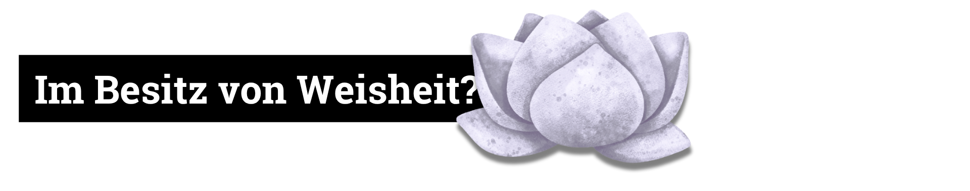 Im Besitz von Weisheit?