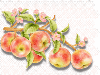 Jenseits der Oberfläche.