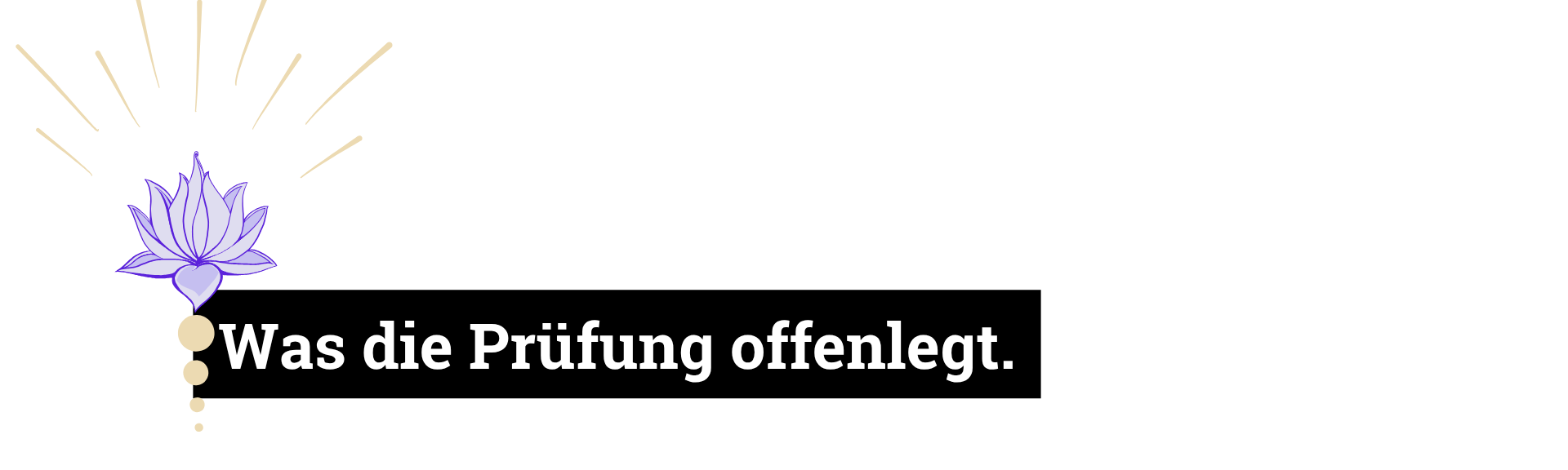 Was die Prüfung offenlegt.