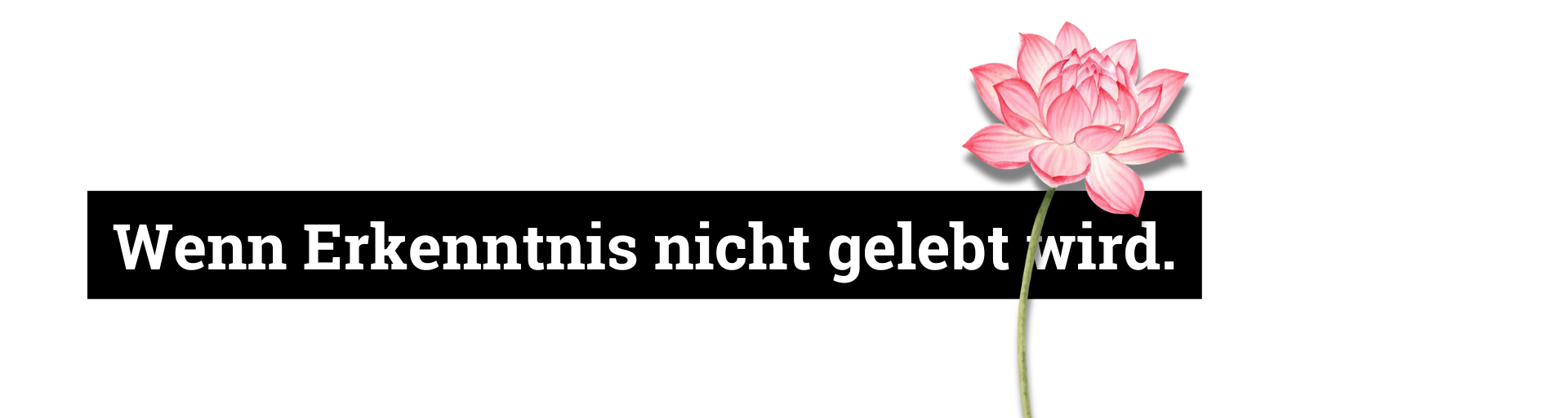 Wenn Erkenntnis nicht gelebt wird.