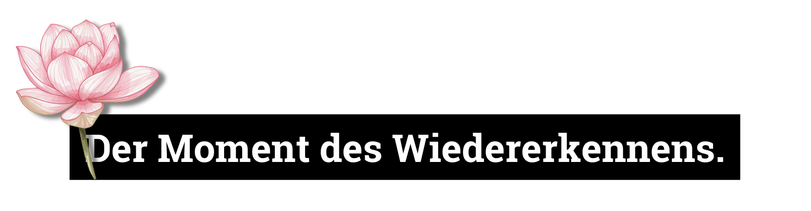 Der Moment des Wiedererkennens.