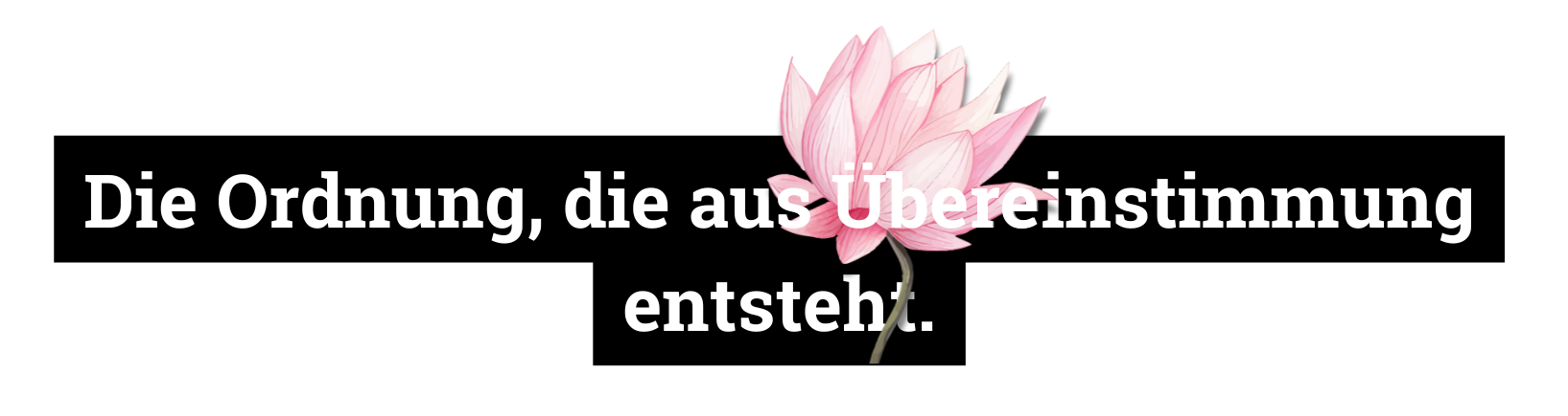 Die Ordnung, die aus Übereinstimmung entsteht.