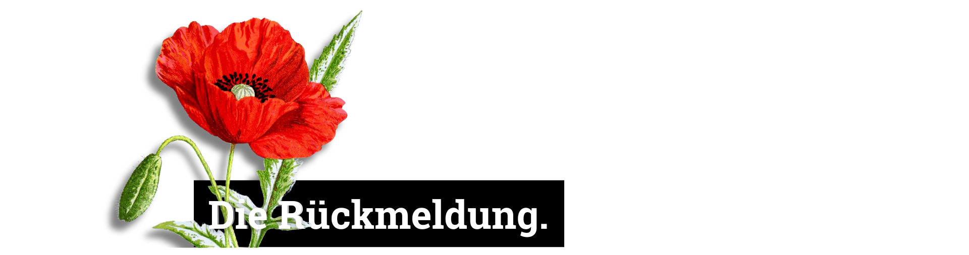 Die Rückmeldung.