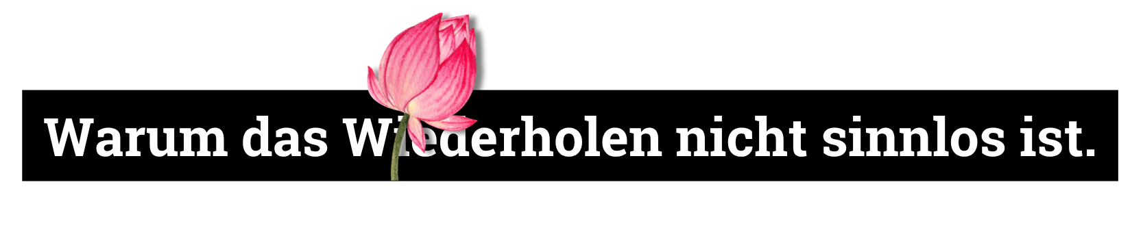 Warum das Wiederholen nicht sinnlos ist.
