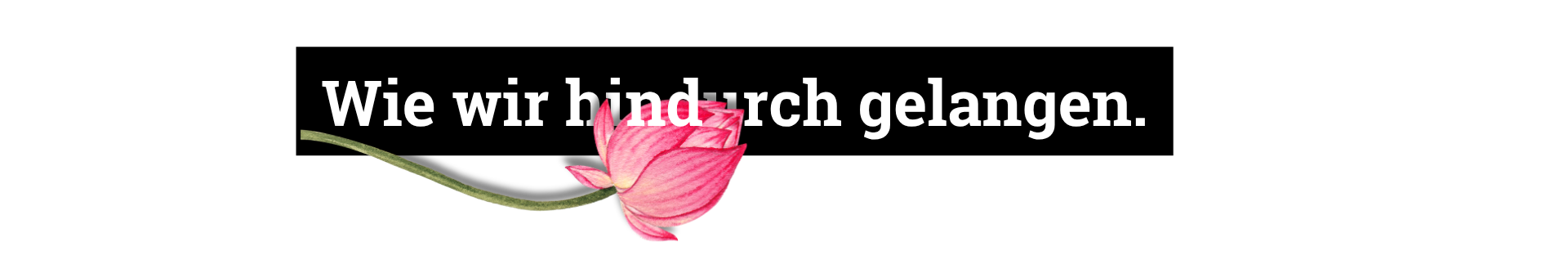 Wie wir hindurch gelangen.