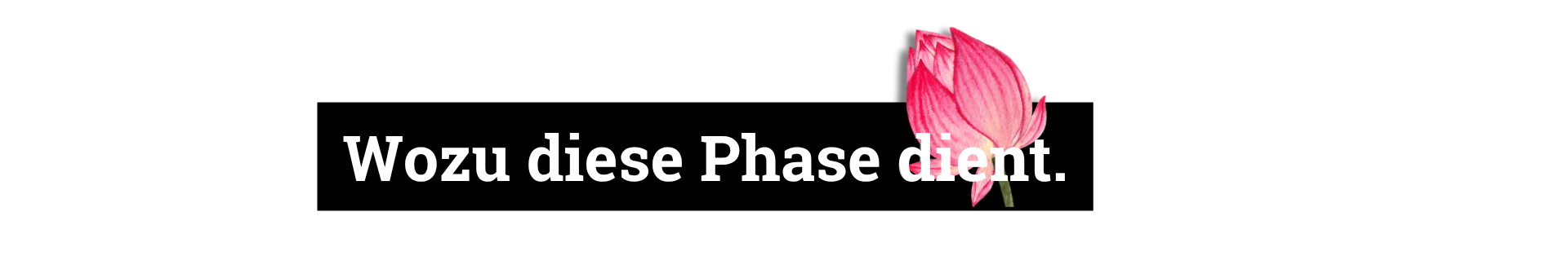 Wozu diese Phase dient.